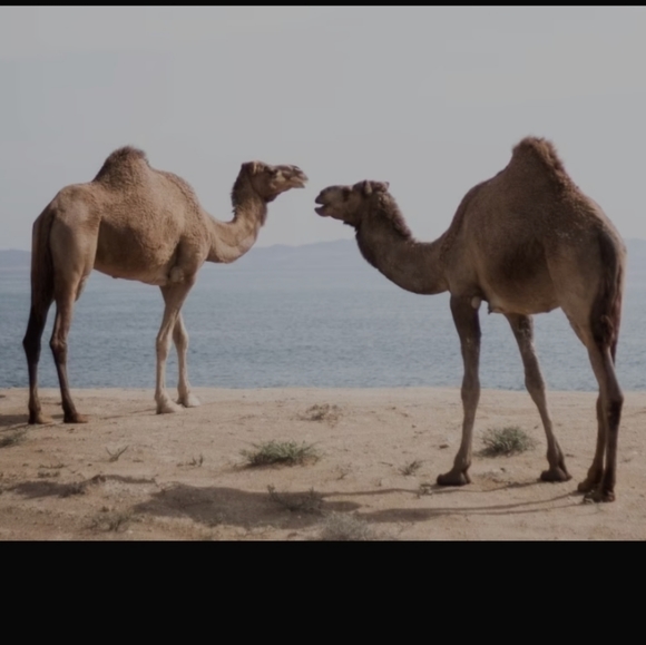 Hump day Share Event - Picture 12 of 12